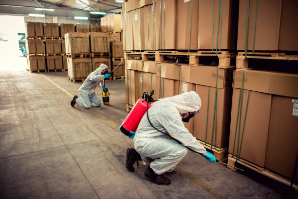 Flea Control Services in Jacksonville, AL