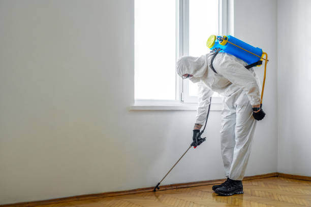 Best Best Pest Control Companies  in Jacksonville, AL