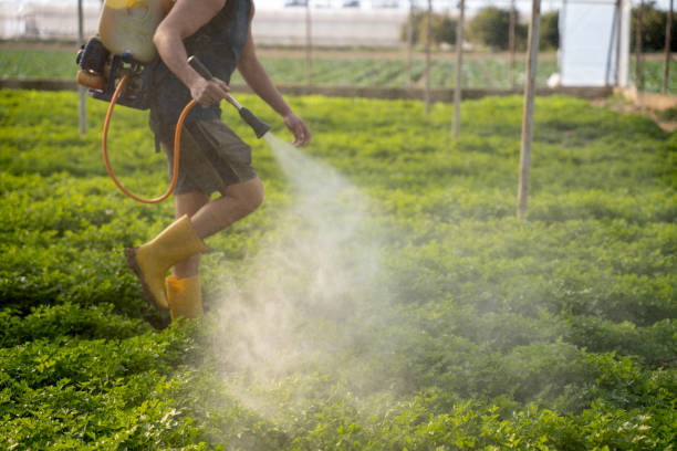 Best Ant Control Services  in Jacksonville, AL