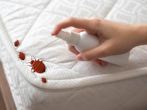Best Pest Inspection Near Me  in Jacksonville, AL