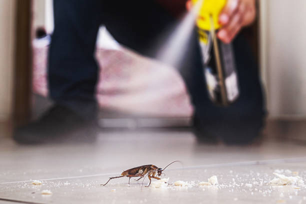 Trusted Jacksonville, AL Pest Control Experts