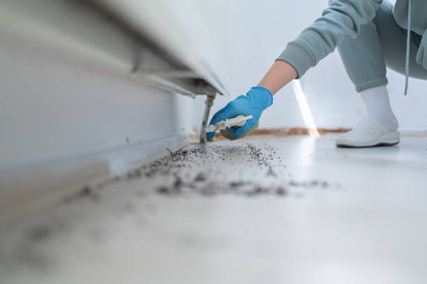 Best Affordable Pest Control Services  in Jacksonville, AL