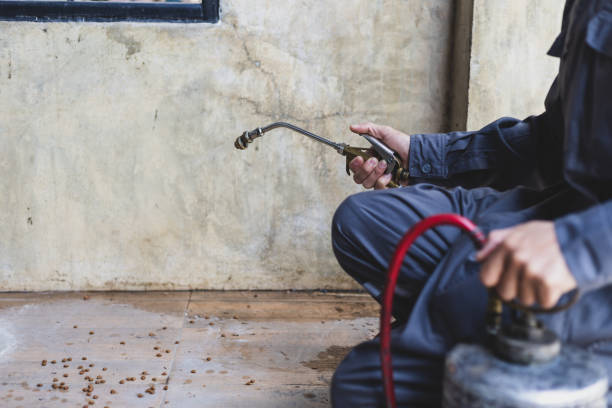 Best Mosquito Control Services  in Jacksonville, AL