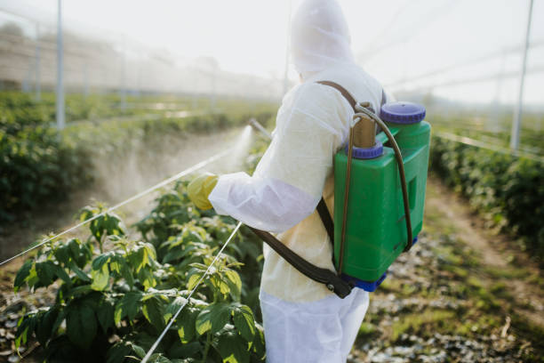 Best Best Pest Control Companies  in Jacksonville, AL